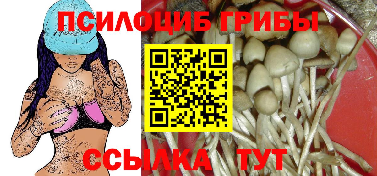 Псилоцибиновые грибы Psilocybine cubensis  Псилоцибиновые грибы ЛСД  Вход с VPN  Туапсе 